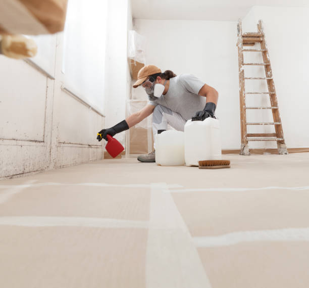 Mold Remediation for Rental Properties in Augusta, WI